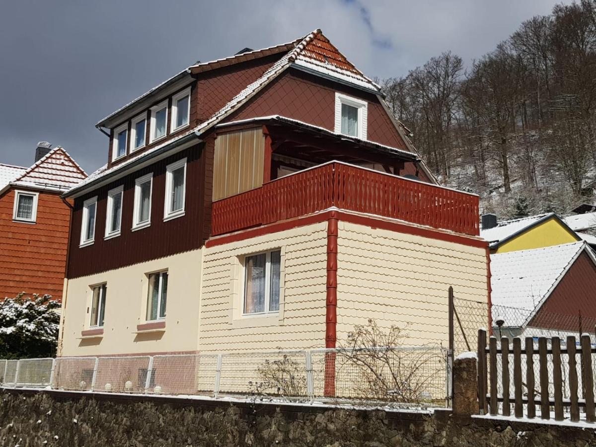 Haus Am Fluss Mit Wunderschoener Dachterrasse Mit Flussblick ,Garten Und Grill Zorge Exterior photo